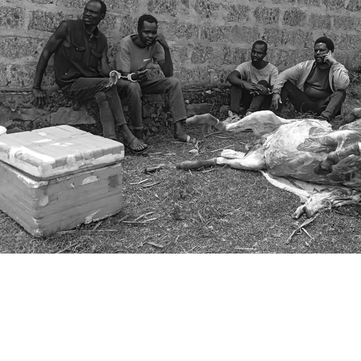 HOFU YAZUA KAUNTI YA POKOT MAGHARIBI KUHUSIANA NA USALAMA WA NYAMA ZINAZOUZWA MJINI