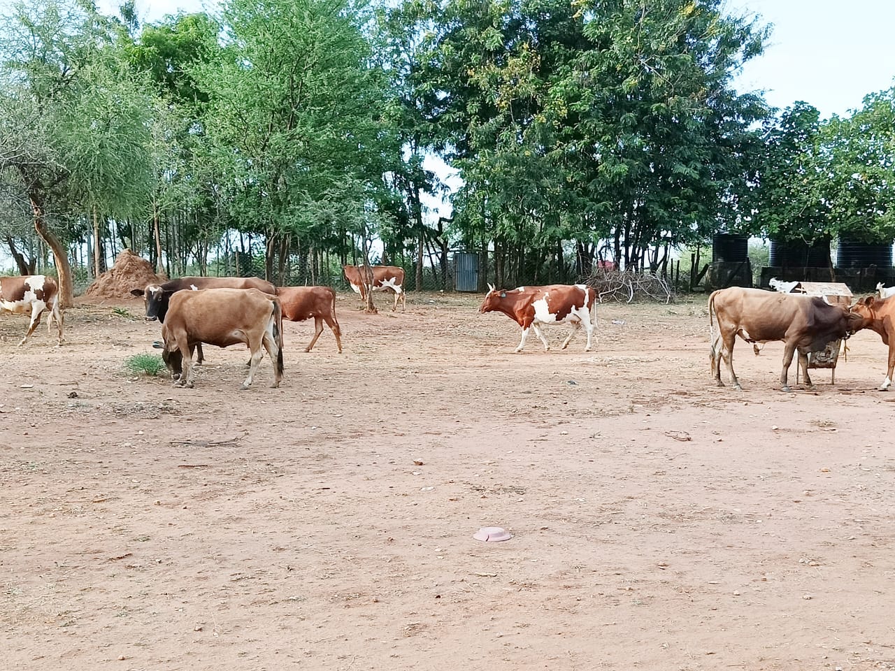 You are currently viewing WITO WA AMANI BONDE LA KERIO
