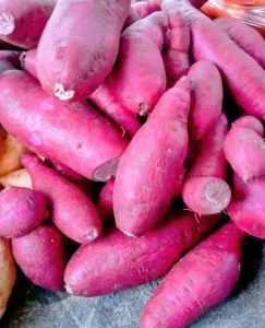 Read more about the article WENYEJI ELGEIYO MARAKWET WASHAURIWA KUKUMBATIA UPANZI WA VIAZI VITAMU ILI KUKABILI UTAPIAMLO