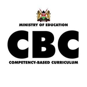 Read more about the article WANAFUNZI WA GREDI YA 9 WATAANZA MCHAKATO WA KUCHAGUA SHULE ZA UPILI ZA NGAZI YA JUU YAANI SENIOR SCHOOL, KABLA YA KUJIUNGA NA GREDI YA KUMI