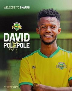 Read more about the article DAVID POLEPOLE VOWS TO REDISCOVER SCORING TOUCH AT KARIOBANGI SHARKS