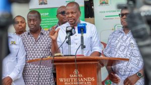 Read more about the article GOVERNMENT MOVES TO IMPORT 25 MILLION BAGS OF MAIZE AS HARVESTS FALL
