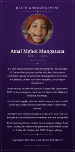 Read more about the article PRESIDENT RUTO LEADS TRIBUTES FOLLOWING THE DEATH OF SENATOR MUNGATANA’S DAUGHTER, AMAL