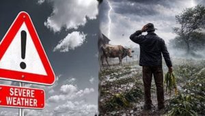 Read more about the article GOVERNMENT MOVES TO HELP FARMERS MITIGATE EL-NINO RISKS