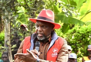 Read more about the article JEREMIAH KIONI OFFERS TO SUCCEED UHURU KENYATTA AS JUBILEE PARTY LEADER