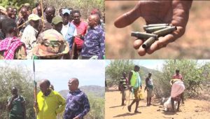 Read more about the article THREE KILLED AS ARMED RAIDERS STEAL 203 COWS AND 21 CAMELS IN ISIOLO