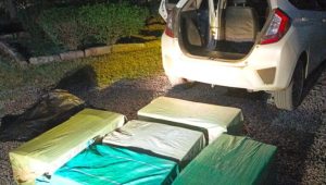 Read more about the article KWS OFFICERS RECOVER WILDLIFE PRODUCTS AND ILLEGAL FISHING EQUIPMENT IN A MULTI-AGENCY CRACKDOWN